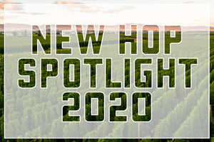 New Hop Spotlight 2020