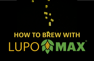 How to Brew with LUPOMAX