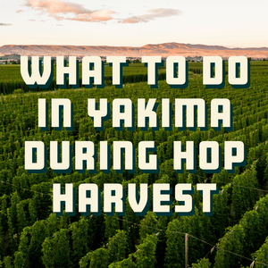 Best Things To Do in Yakima During Hop Harvest
