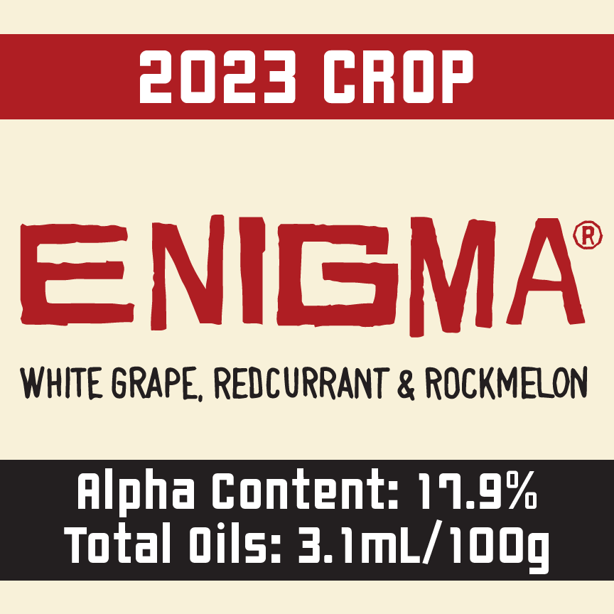 Enigma Hops