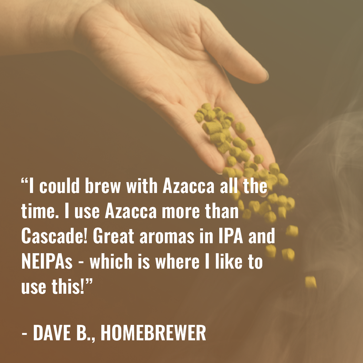 Azacca Hops