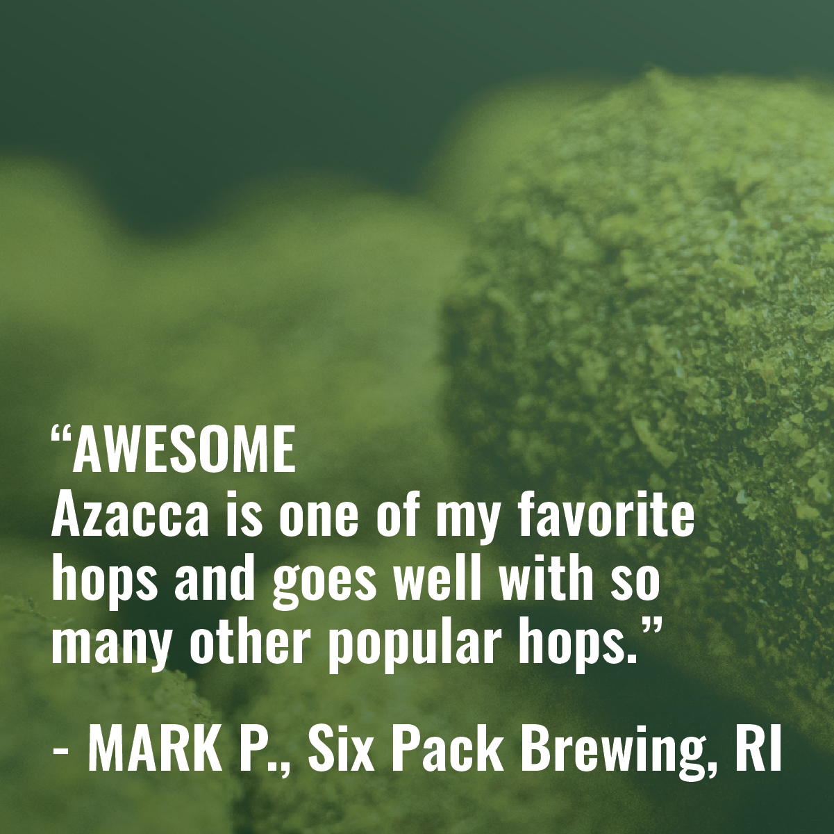 Azacca Hops