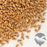 Red Wheat Malt - Briess