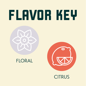 Cascade Hop Flavor Key