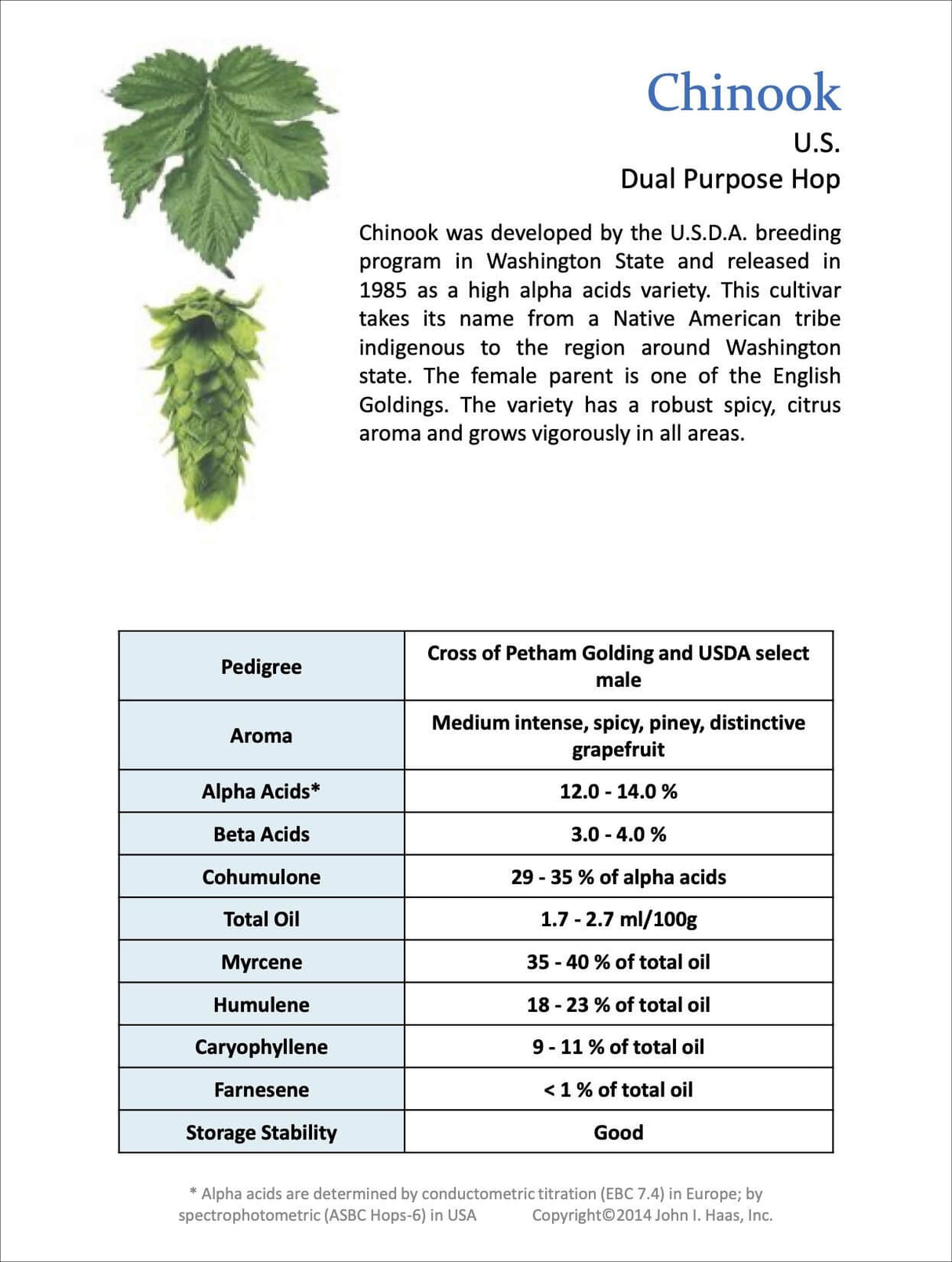 Chinook Hops