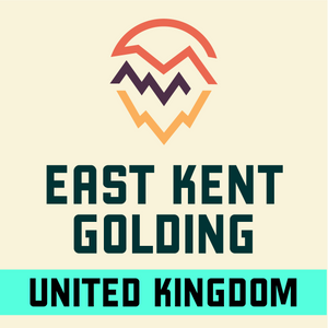 East Kent Golding [EKG] Hops