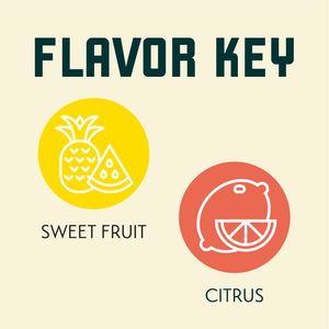 Riwaka Hop Flavor Key
