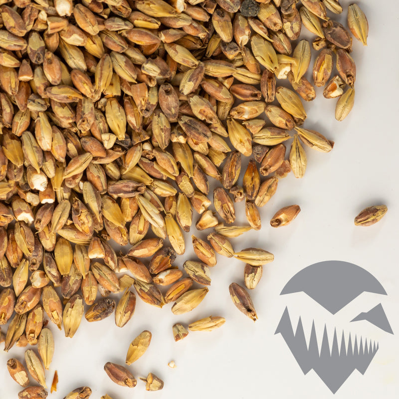 Roasted Barley Malt - Briess