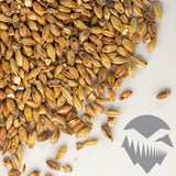 Roasted Barley Malt - Briess