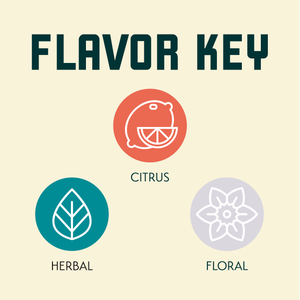 Strissel Spalt Flavor Key