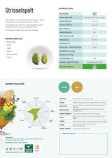 Strissel Spalt Hop Flavor Profile