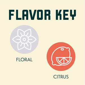 Wakatu Hop Flavor Key