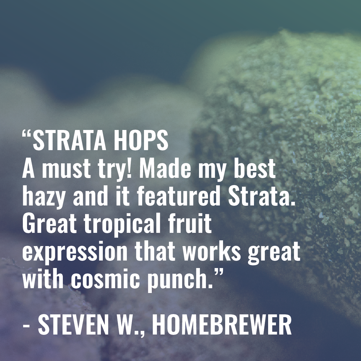 Strata Hops